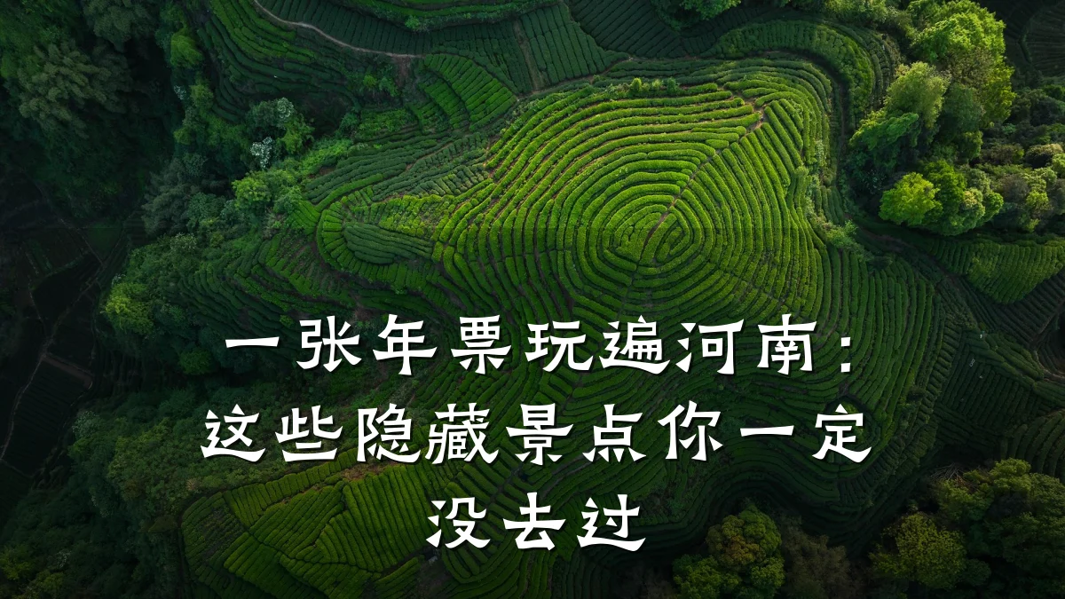 一张年票玩遍河南:这些隐藏景点你一定没去过
