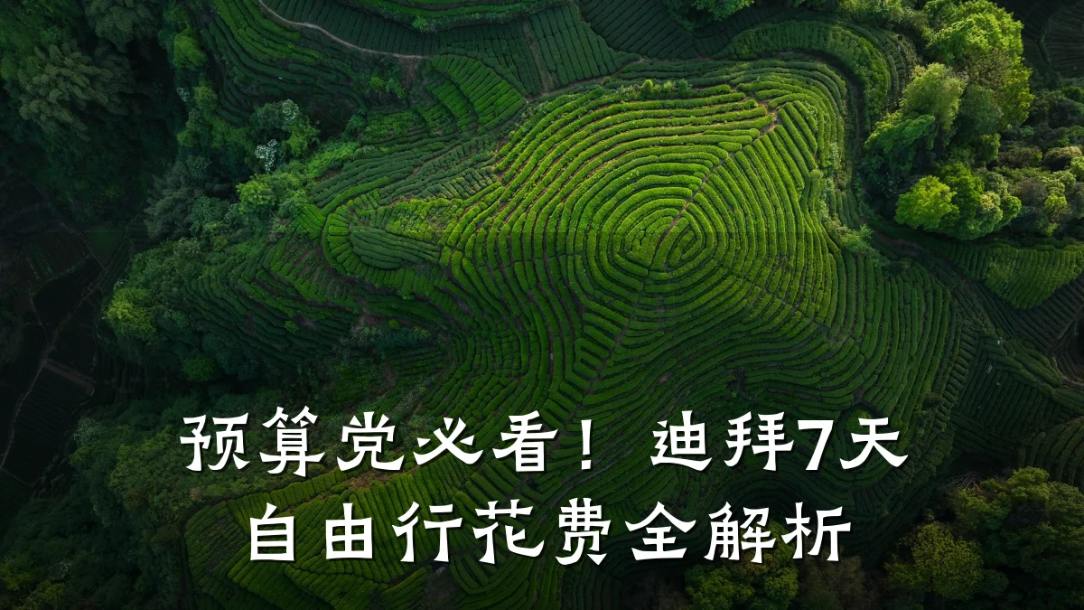 预算党必看!迪拜7天自由行花费全解析