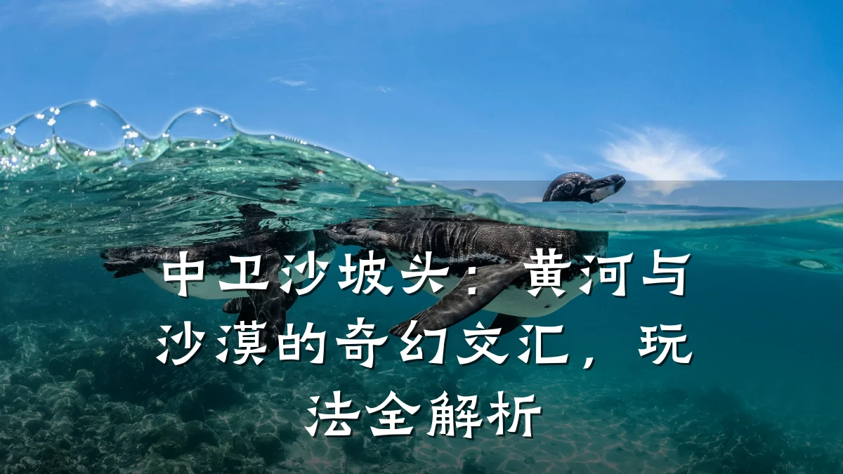 中卫沙坡头:黄河与沙漠的奇幻交汇,玩法全解析