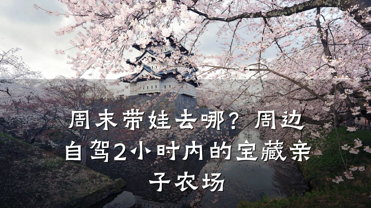 周末带娃去哪?周边自驾2小时内的宝藏亲子农场