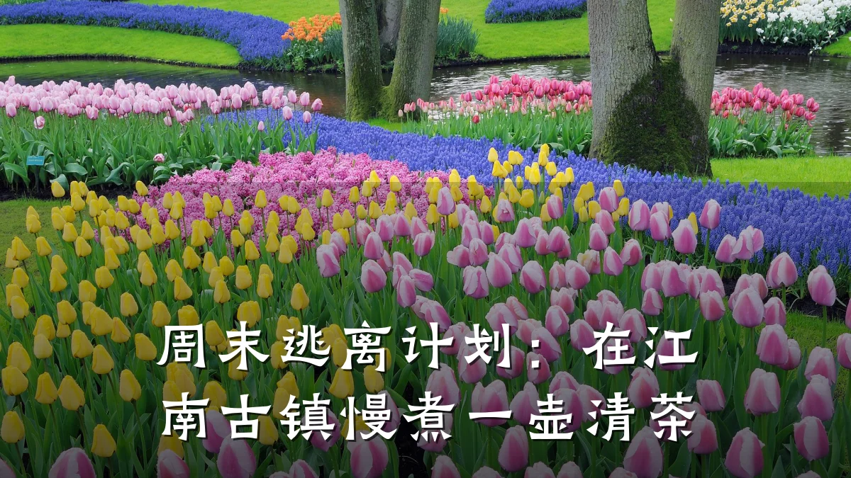 周末逃离计划:在江南古镇慢煮一壶清茶