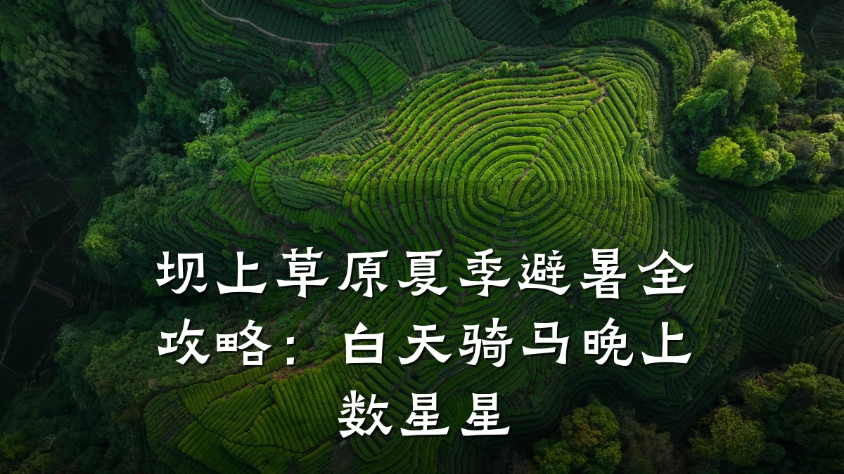 坝上草原夏季避暑全攻略:白天骑马晚上数星星