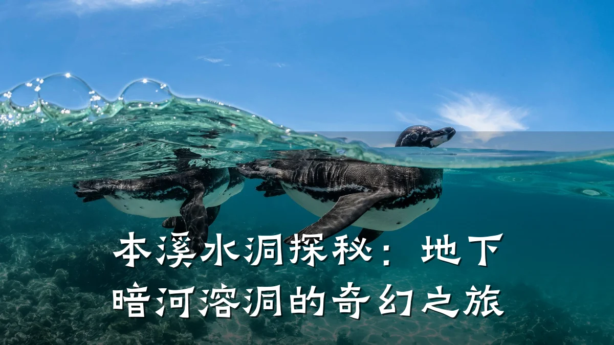 本溪水洞探秘:地下暗河溶洞的奇幻之旅