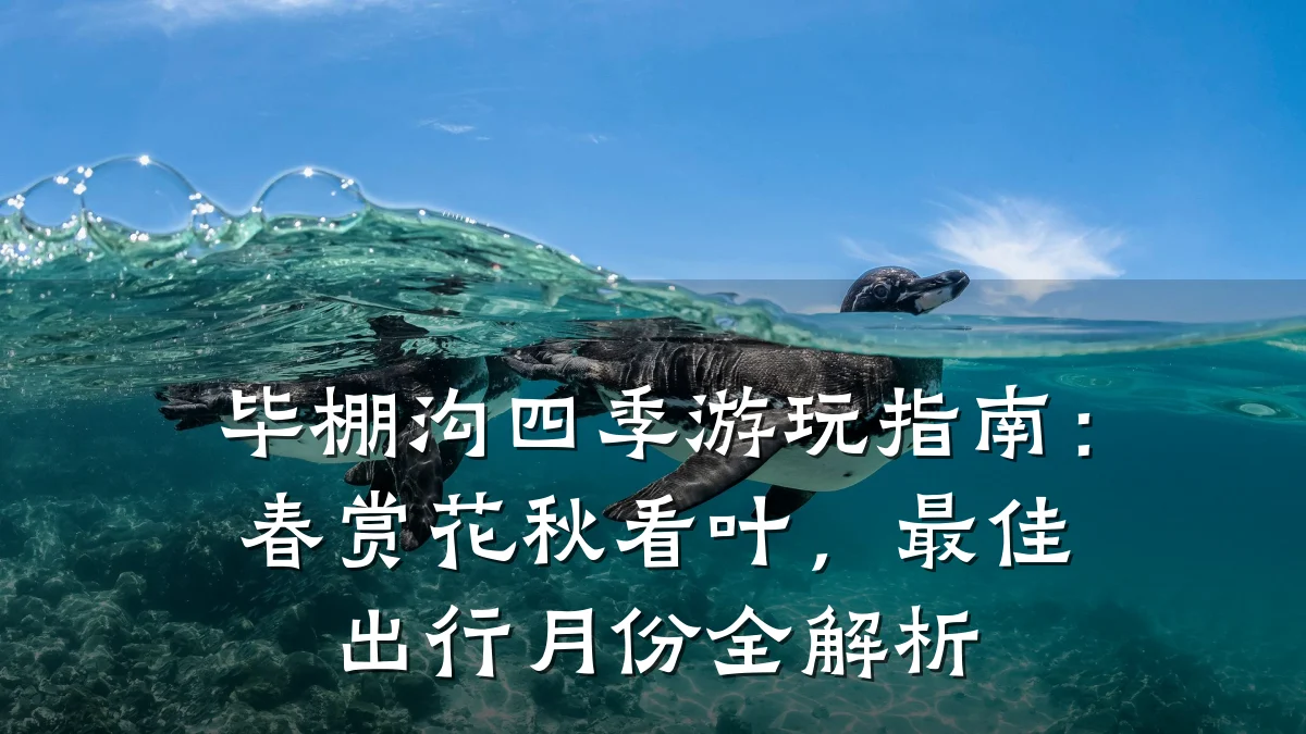 毕棚沟四季游玩指南:春赏花秋看叶,最佳出行月份全解析