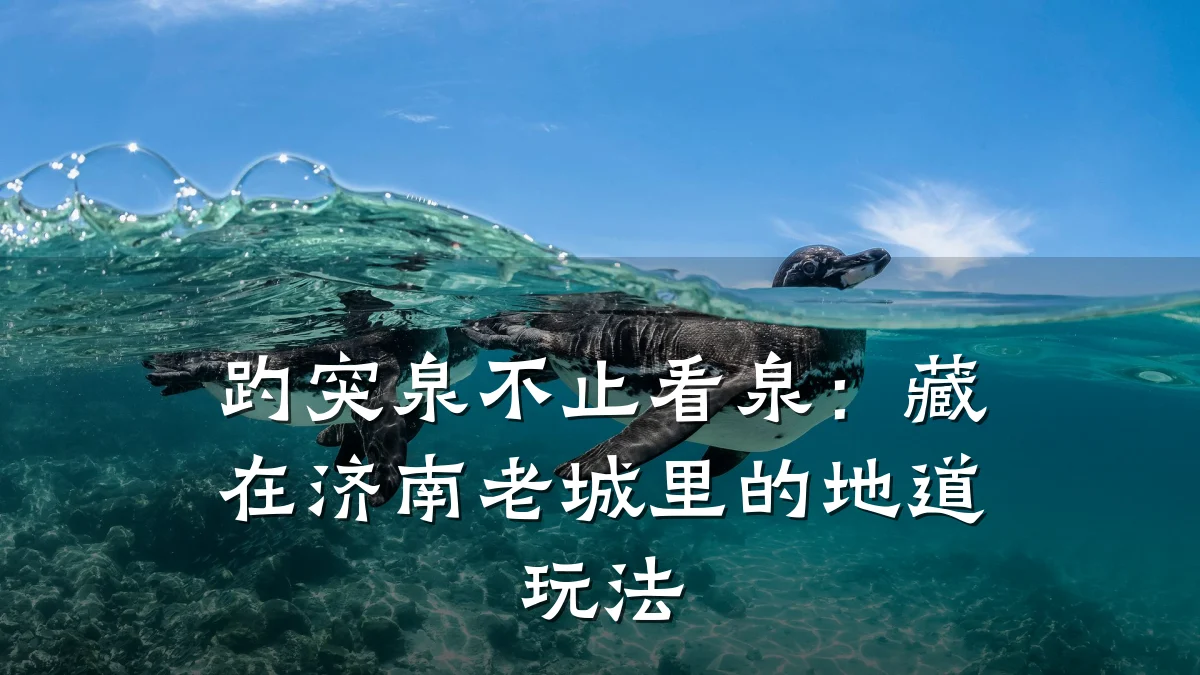 趵突泉不止看泉:藏在济南老城里的地道玩法