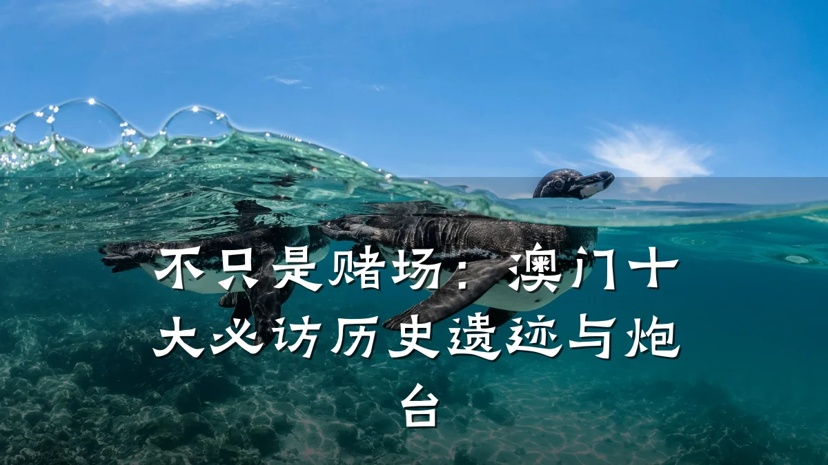 不只是赌场:澳门十大必访历史遗迹与炮台