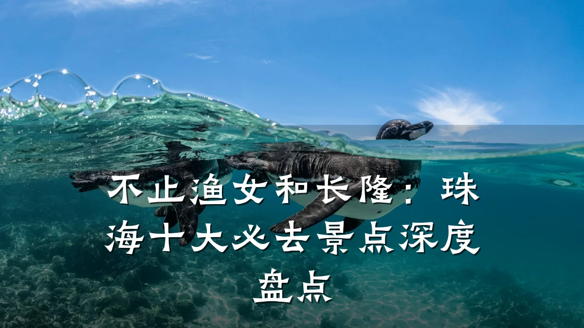 不止渔女和长隆:珠海十大必去景点深度盘点