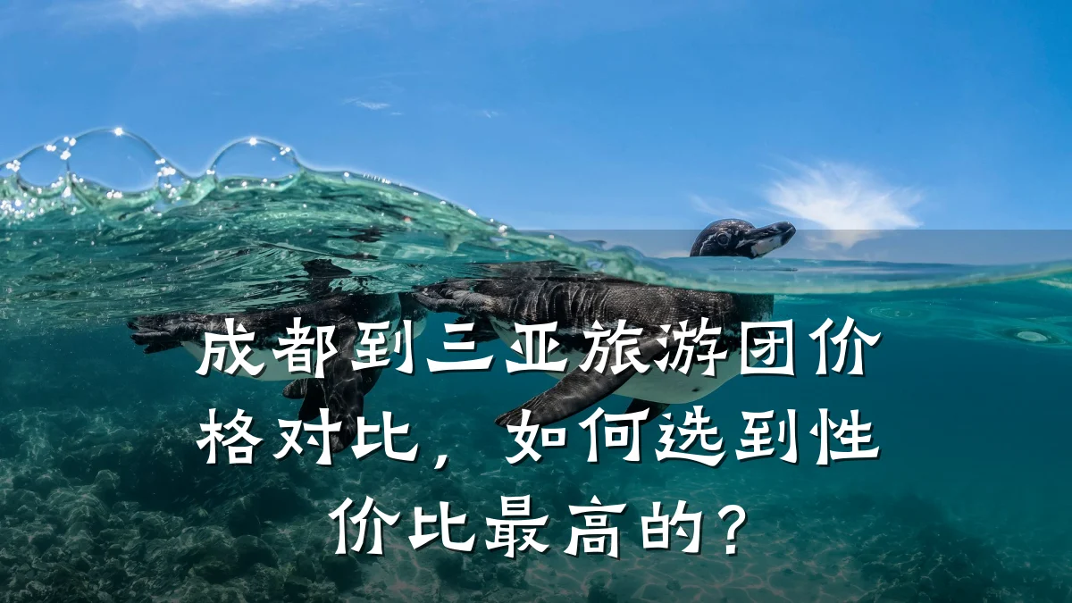成都到三亚旅游团价格对比,如何选到性价比最高的?