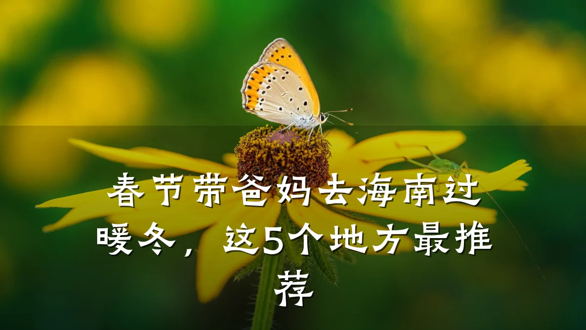 春节带爸妈去海南过暖冬,这5个地方最推荐