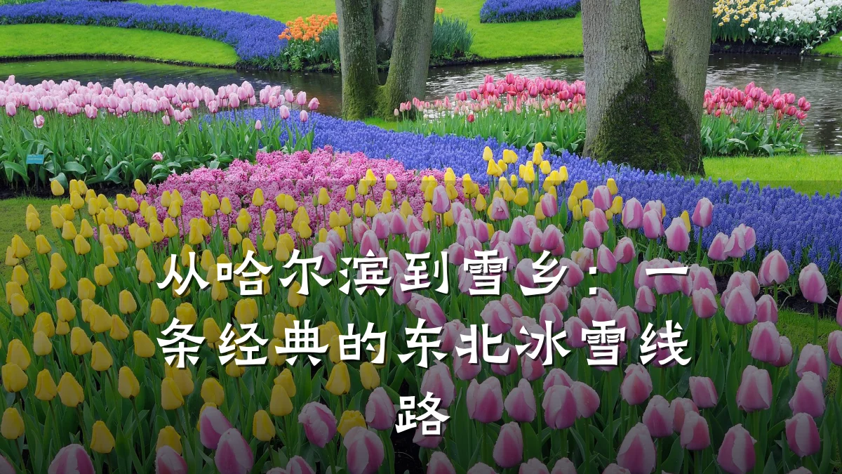 从哈尔滨到雪乡:一条经典的东北冰雪线路