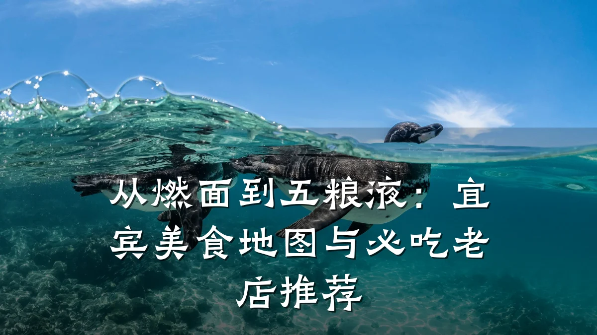 从燃面到五粮液:宜宾美食地图与必吃老店推荐