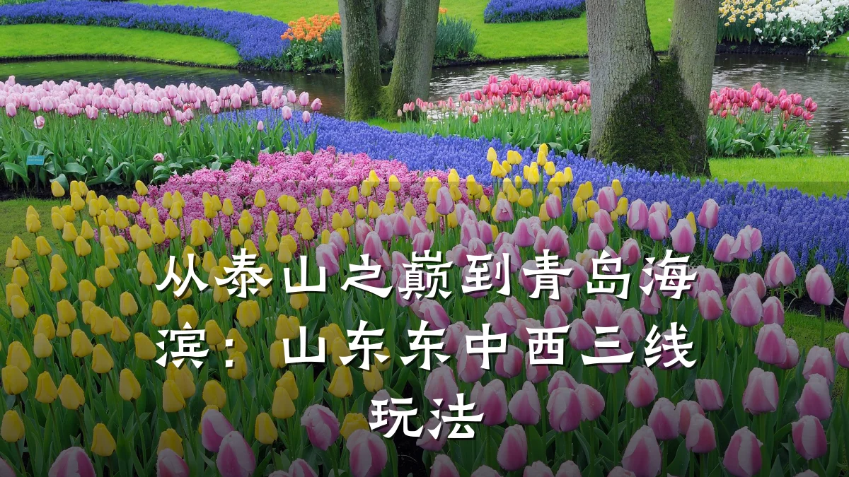 从泰山之巅到青岛海滨：山东东中西三线玩法