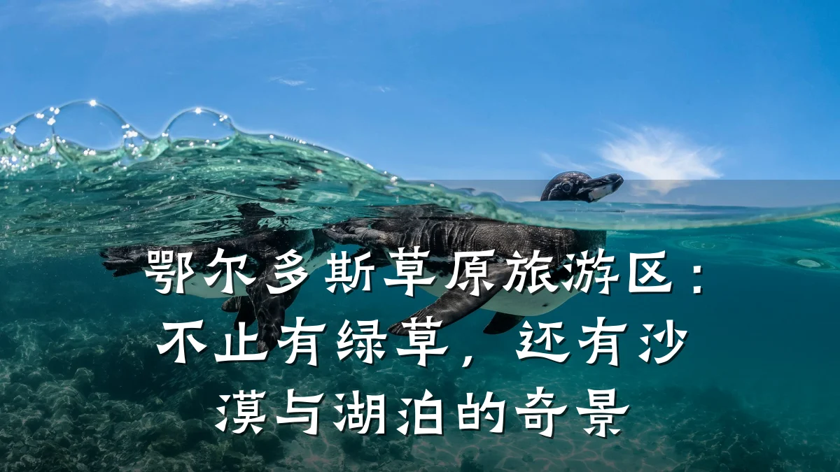 鄂尔多斯草原旅游区：不止有绿草，还有沙漠与湖泊的奇景