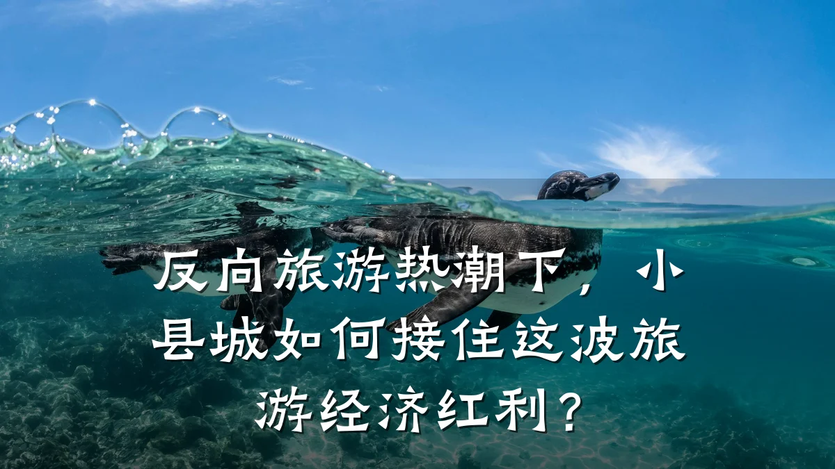 反向旅游热潮下,小县城如何接住这波旅游经济红利?