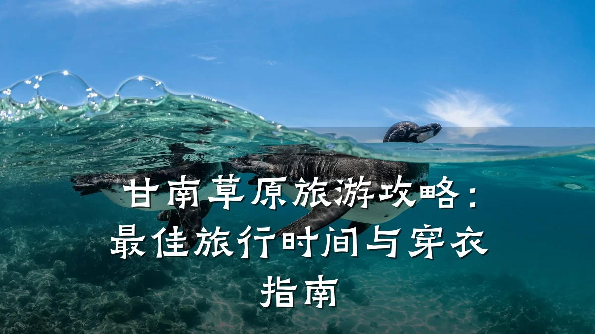 甘南草原旅游攻略:最佳旅行时间与穿衣指南