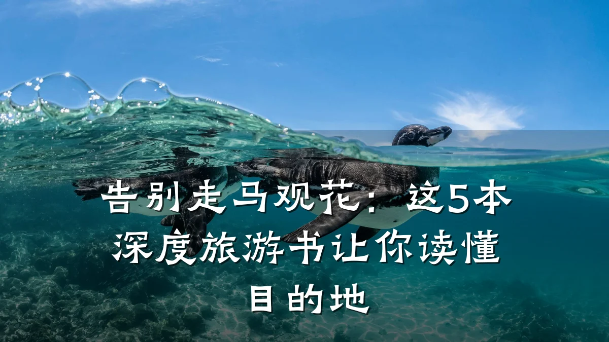 告别走马观花:这5本深度旅游书让你读懂目的地