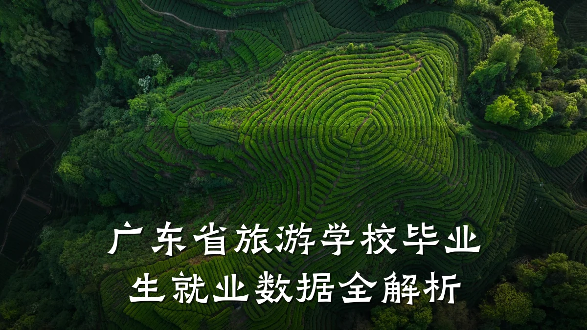 广东省旅游学校毕业生就业数据全解析
