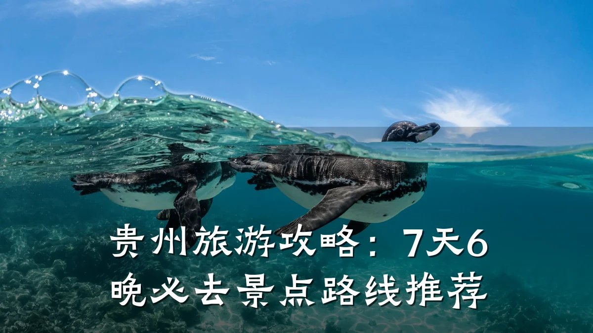 贵州旅游攻略：7天6晚必去景点路线推荐