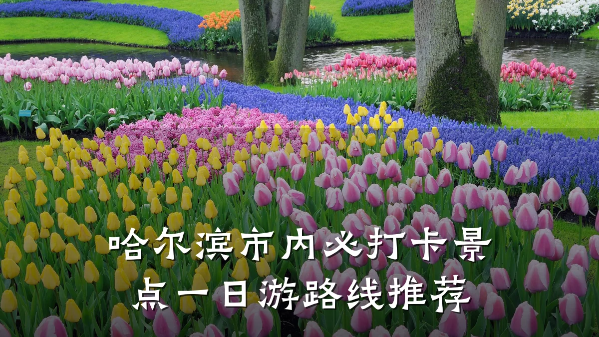 哈尔滨市内必打卡景点一日游路线推荐
