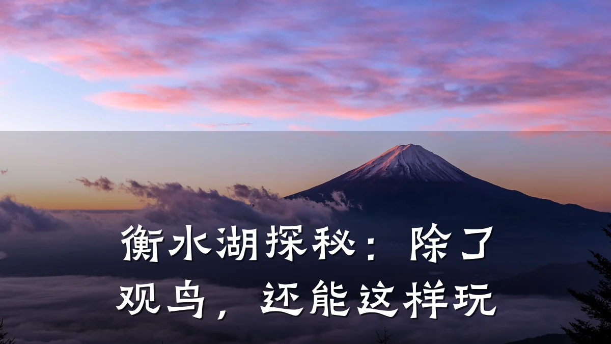 衡水湖探秘:除了观鸟,还能这样玩