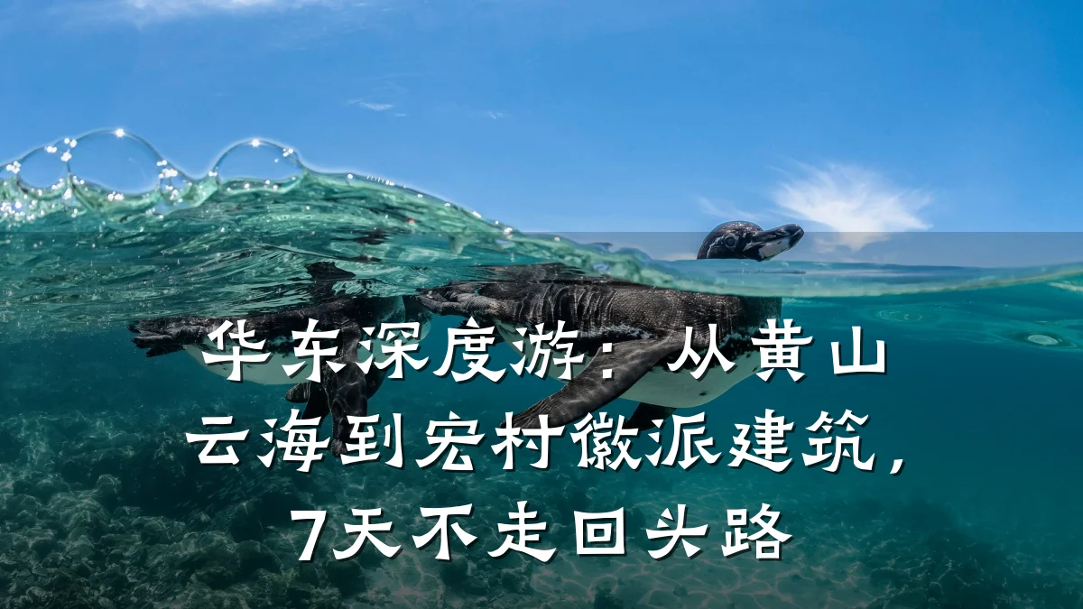 华东深度游:从黄山云海到宏村徽派建筑,7天不走回头路