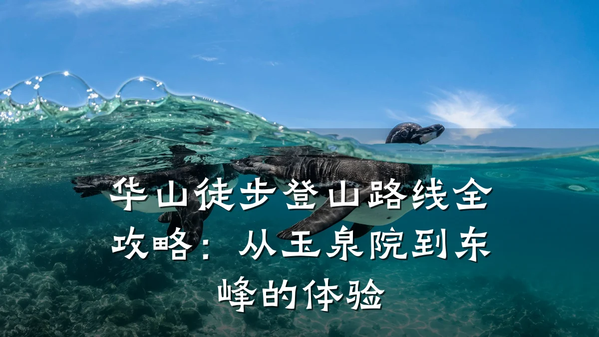 华山徒步登山路线全攻略：从玉泉院到东峰的体验