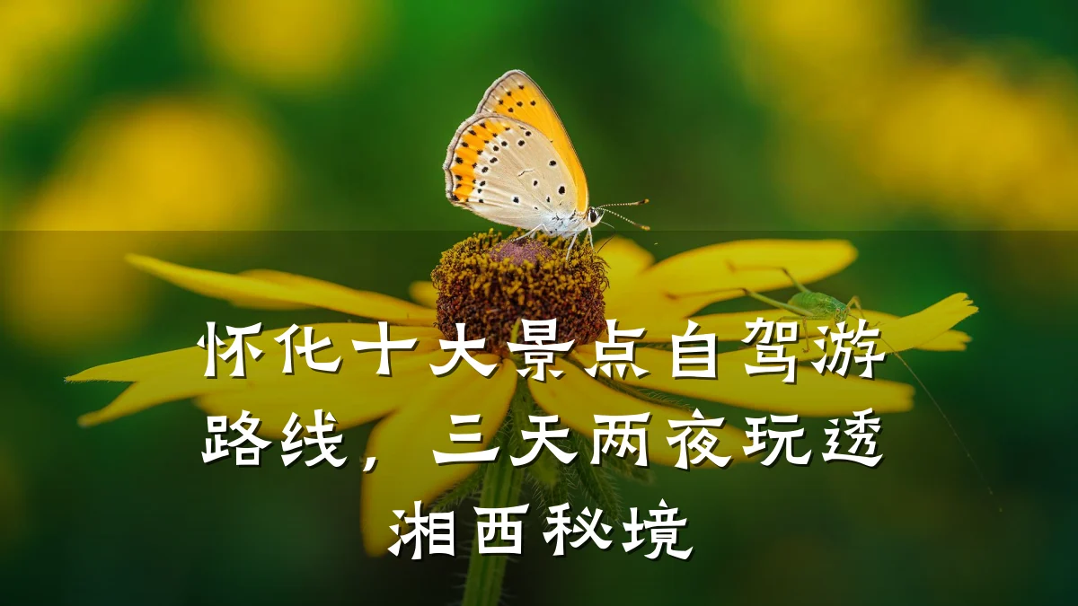 怀化十大景点自驾游路线,三天两夜玩透湘西秘境