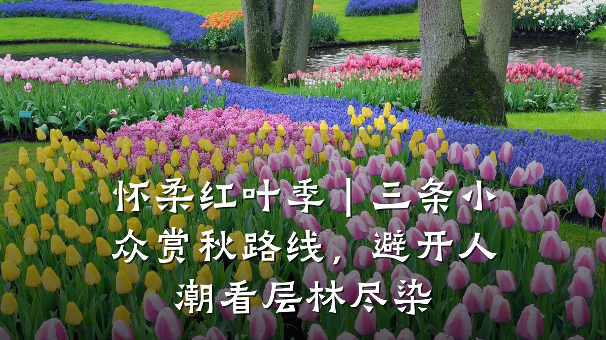 怀柔红叶季｜三条小众赏秋路线，避开人潮看层林尽染