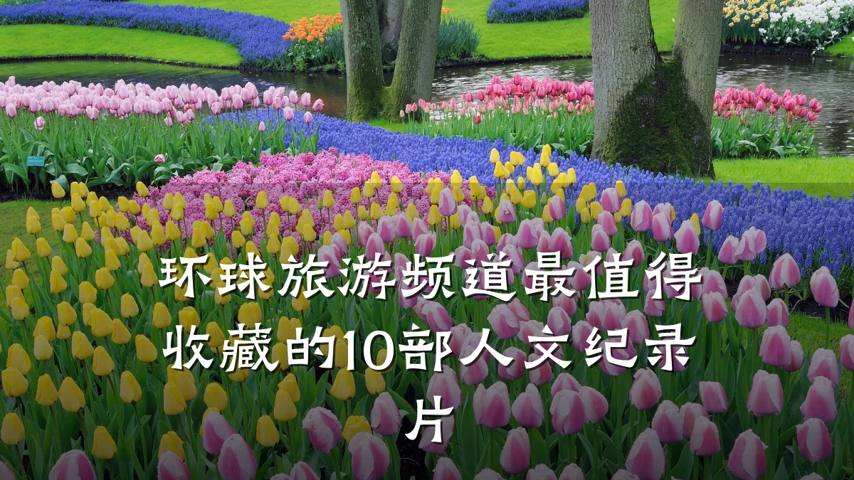 环球旅游频道最值得收藏的10部人文纪录片
