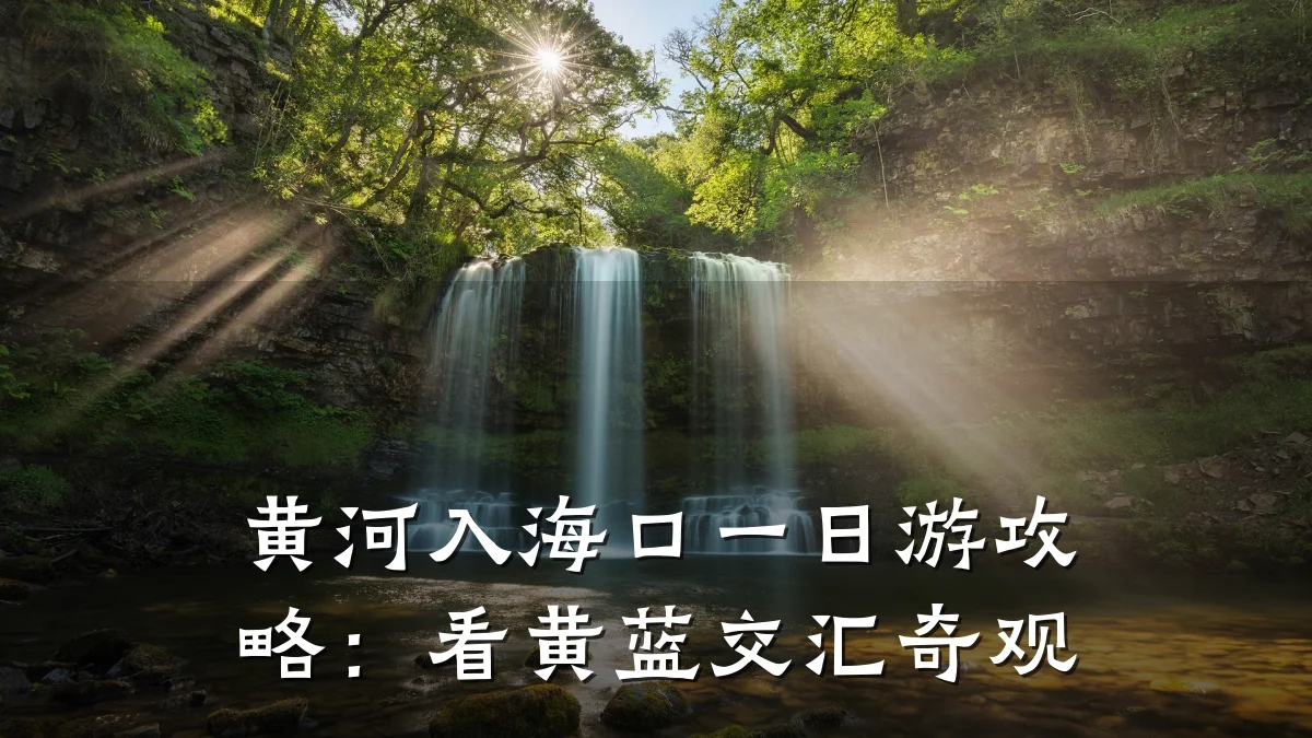 黄河入海口一日游攻略：看黄蓝交汇奇观