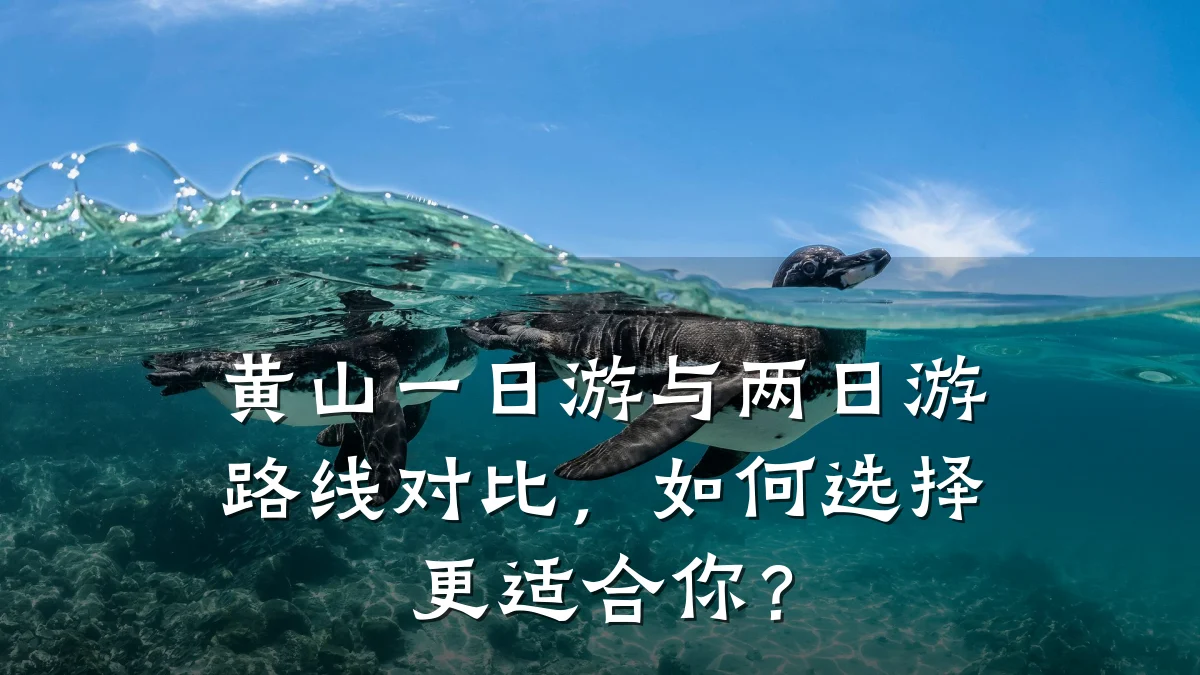 黄山一日游与两日游路线对比，如何选择更适合你？