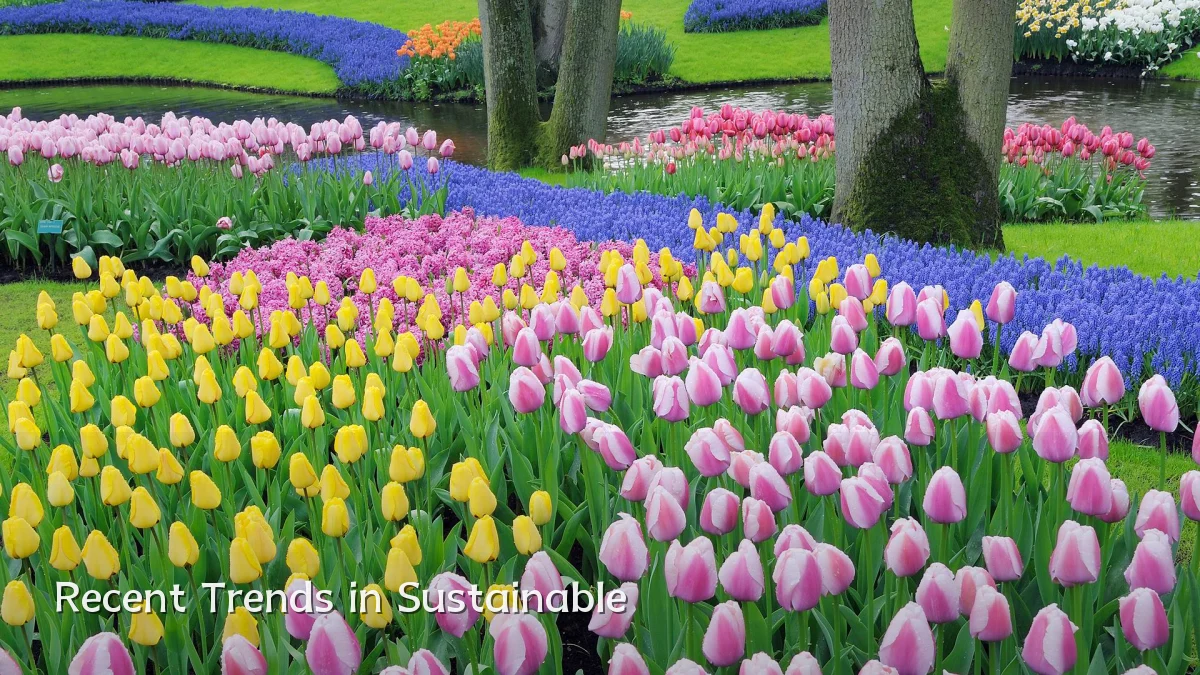 Recent Trends in Sustainable