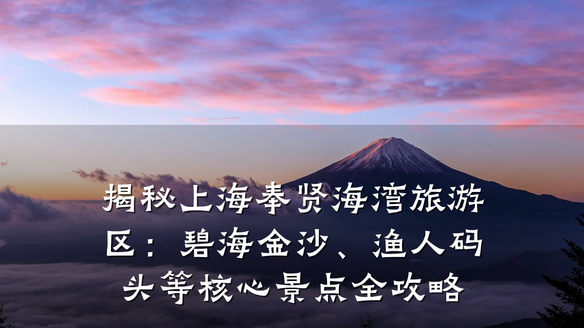 揭秘上海奉贤海湾旅游区:碧海金沙、渔人码头等核心景点全攻略