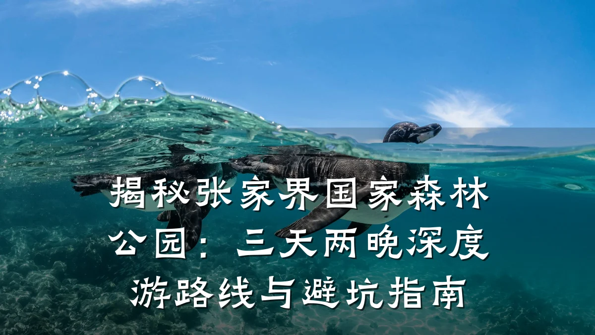 揭秘张家界国家森林公园:三天两晚深度游路线与避坑指南