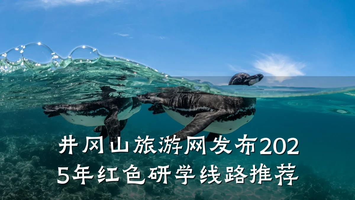 井冈山旅游网发布2025年红色研学线路推荐