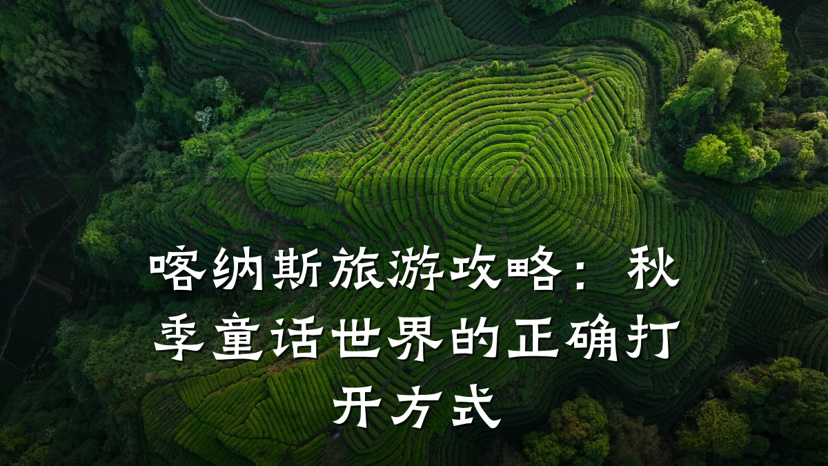 喀纳斯旅游攻略:秋季童话世界的正确打开方式