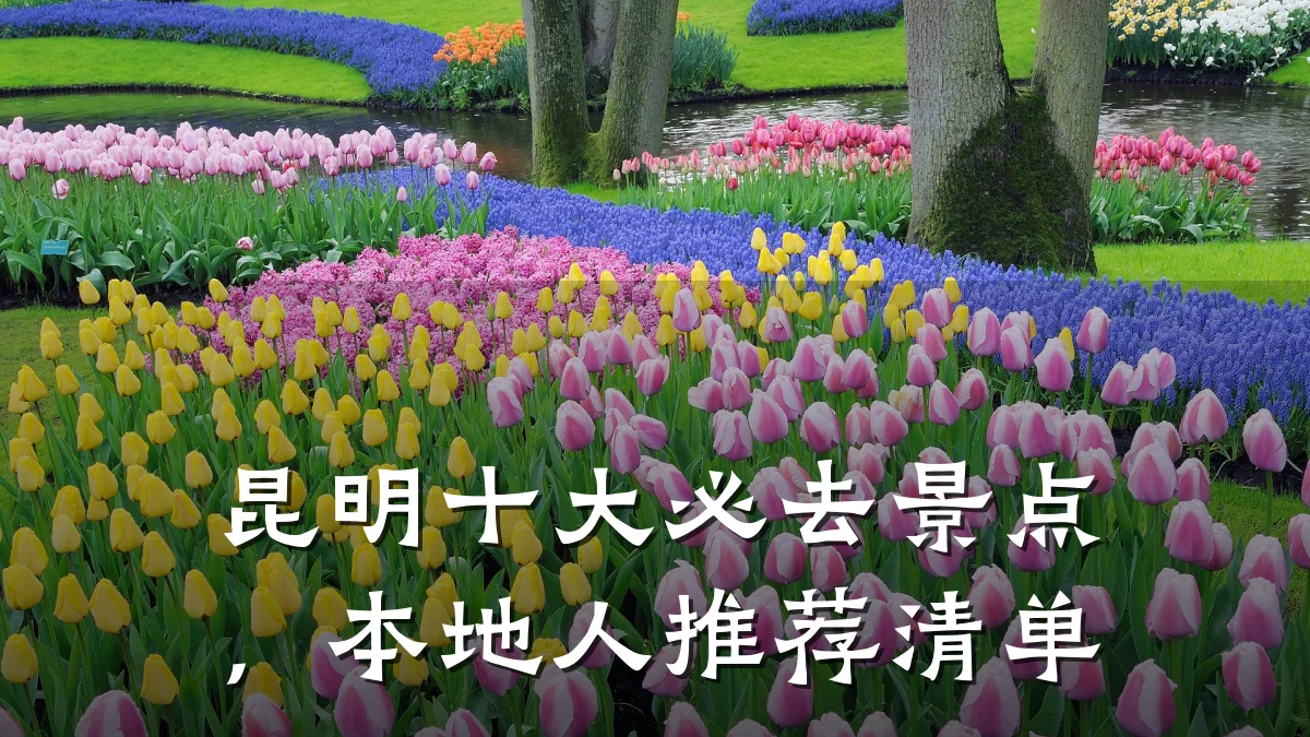 昆明十大必去景点,本地人推荐清单