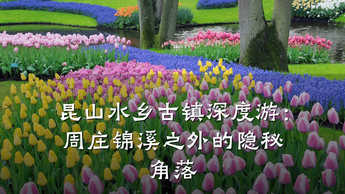 昆山水乡古镇深度游:周庄锦溪之外的隐秘角落