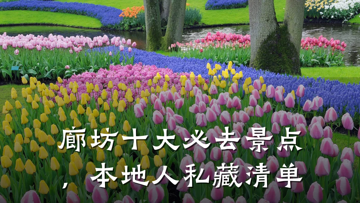 廊坊十大必去景点，本地人私藏清单