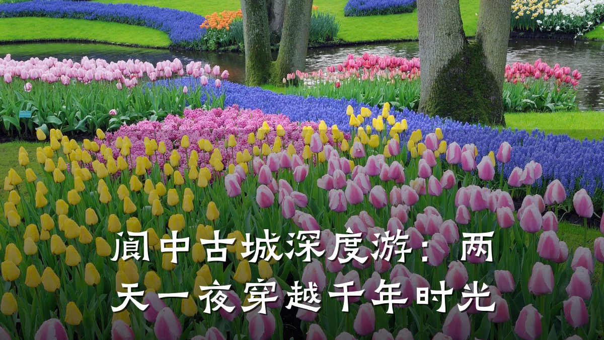 阆中古城深度游：两天一夜穿越千年时光