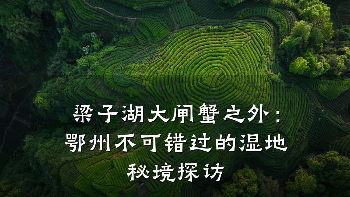 梁子湖大闸蟹之外:鄂州不可错过的湿地秘境探访