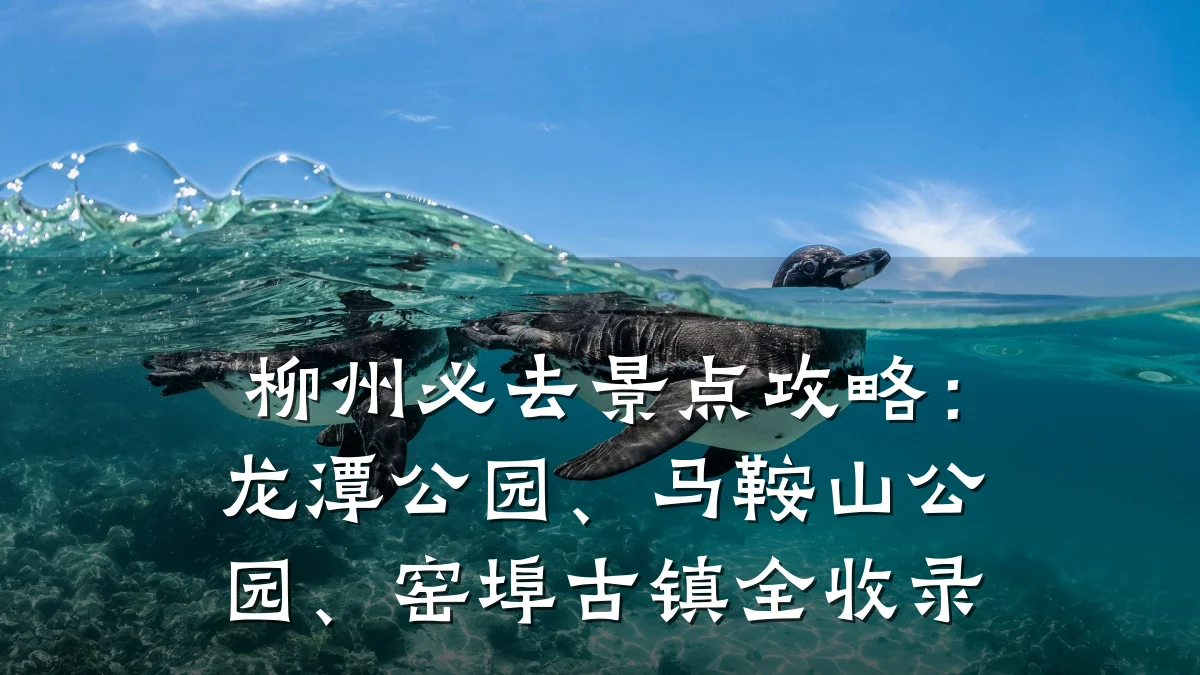 柳州必去景点攻略：龙潭公园、马鞍山公园、窑埠古镇全收录