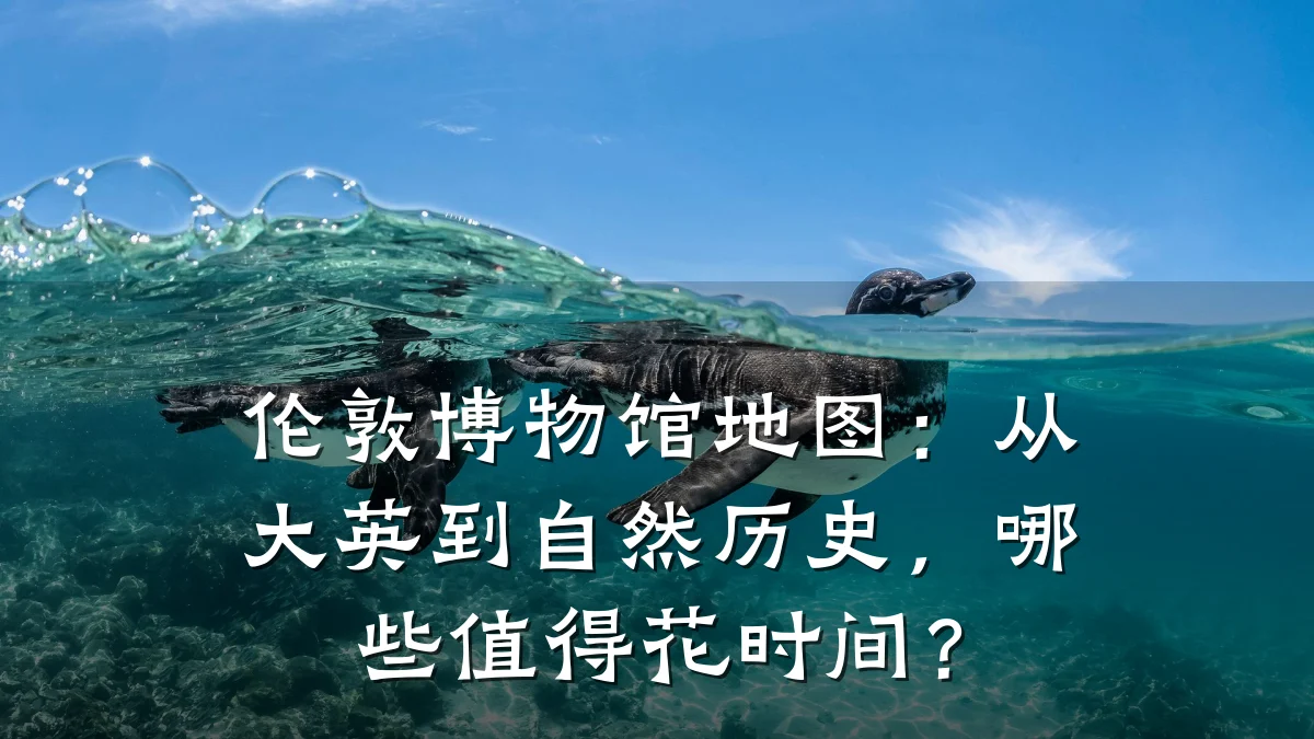 伦敦博物馆地图:从大英到自然历史,哪些值得花时间?