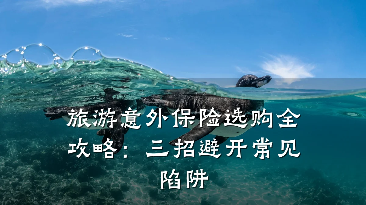 旅游意外保险选购全攻略：三招避开常见陷阱