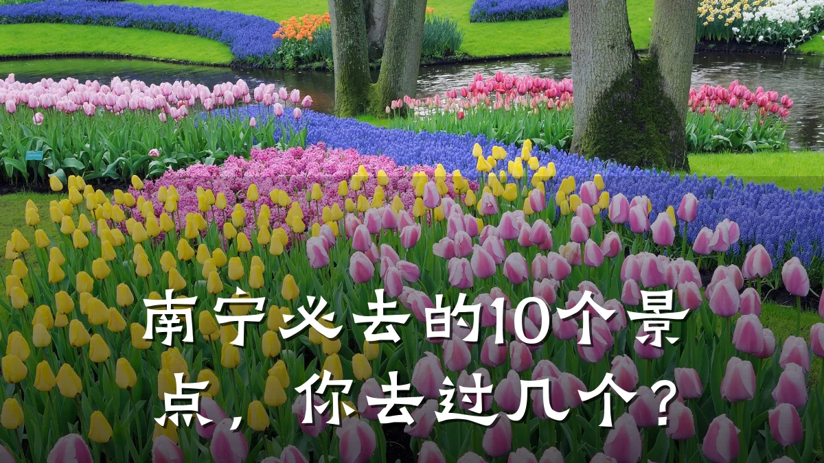 南宁必去的10个景点，你去过几个？
