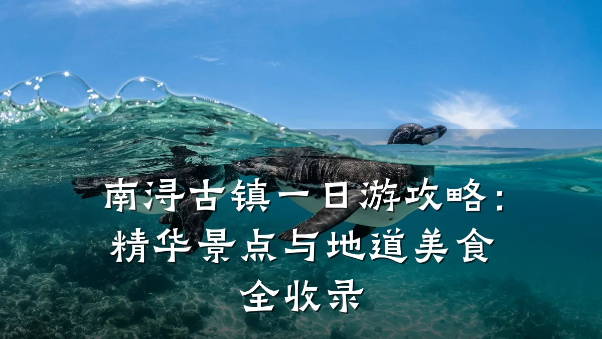 南浔古镇一日游攻略:精华景点与地道美食全收录