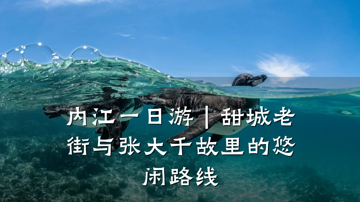内江一日游|甜城老街与张大千故里的悠闲路线