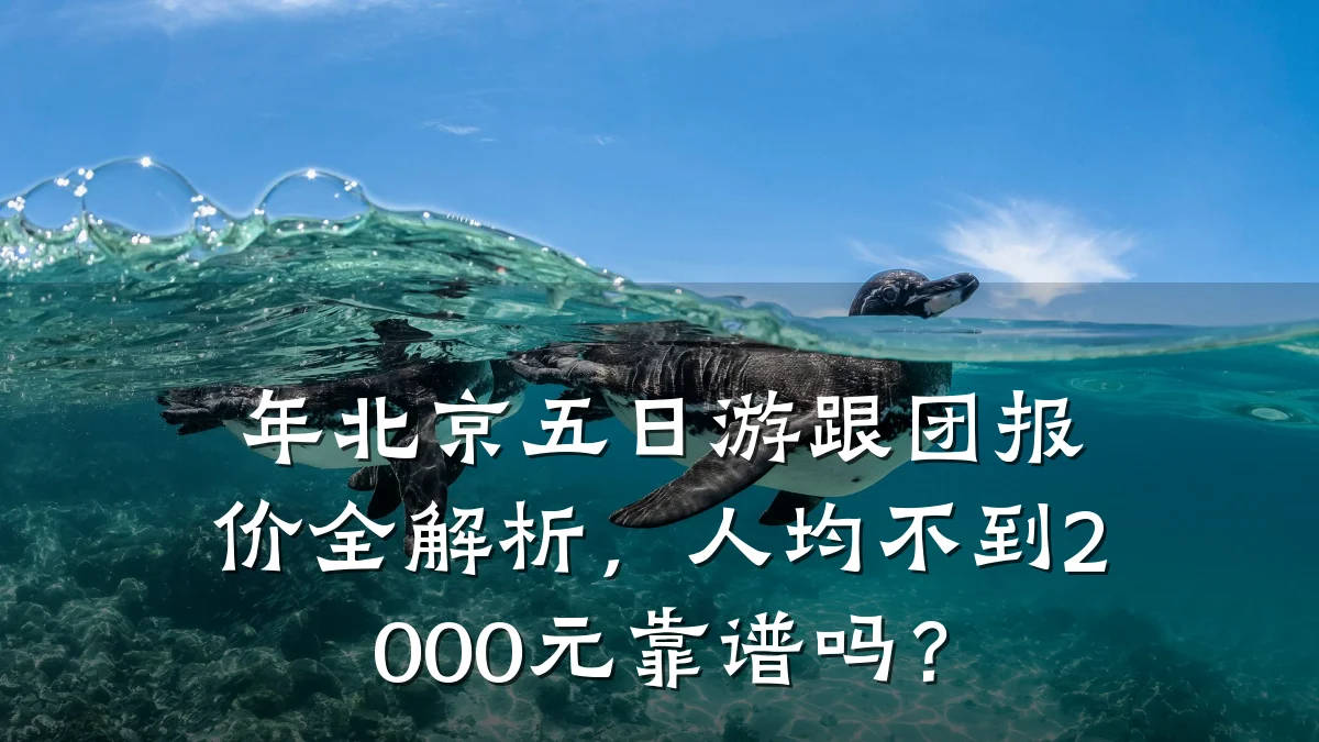 年北京五日游跟团报价全解析，人均不到2000元靠谱吗？