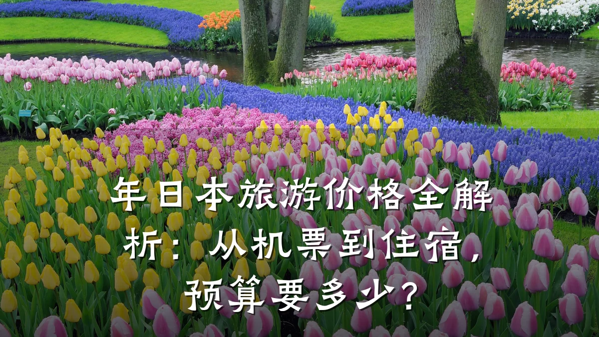 年日本旅游价格全解析:从机票到住宿,预算要多少?