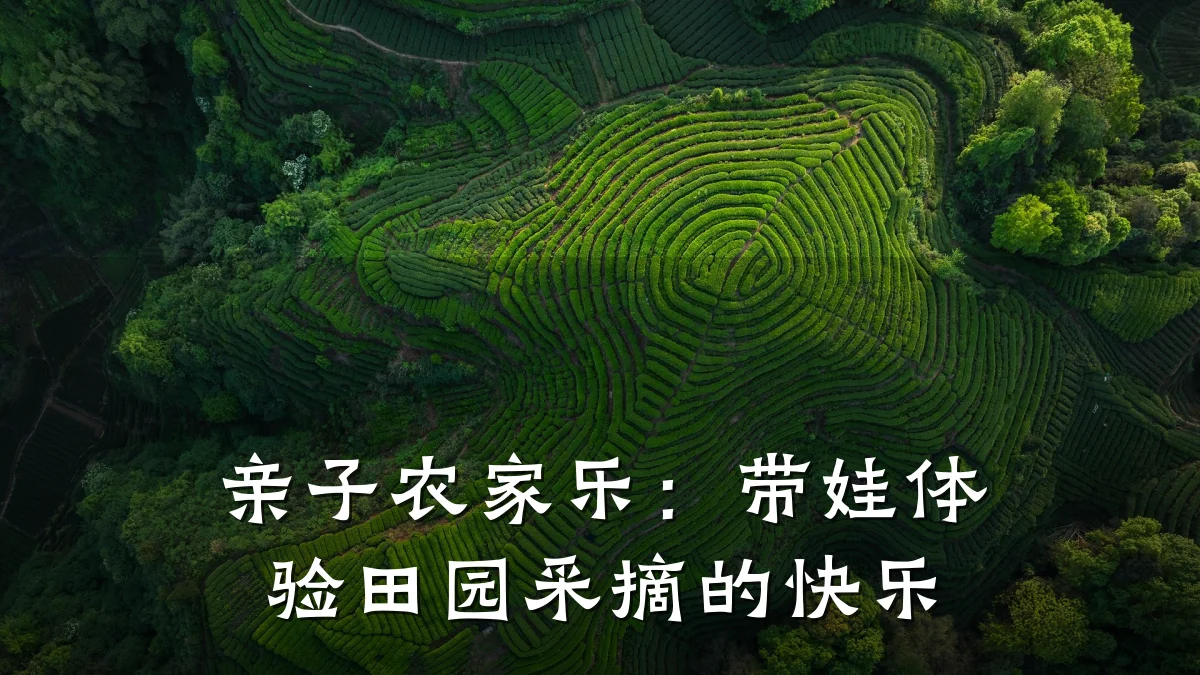 亲子农家乐:带娃体验田园采摘的快乐